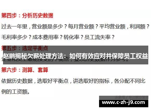 赵鹏揭秘欠薪处理方法：如何有效应对并保障员工权益