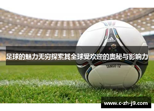 足球的魅力无穷探索其全球受欢迎的奥秘与影响力