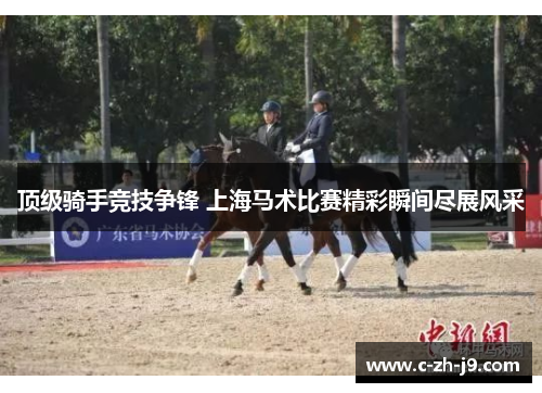 顶级骑手竞技争锋 上海马术比赛精彩瞬间尽展风采
